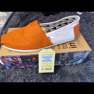 University of Texas Toms